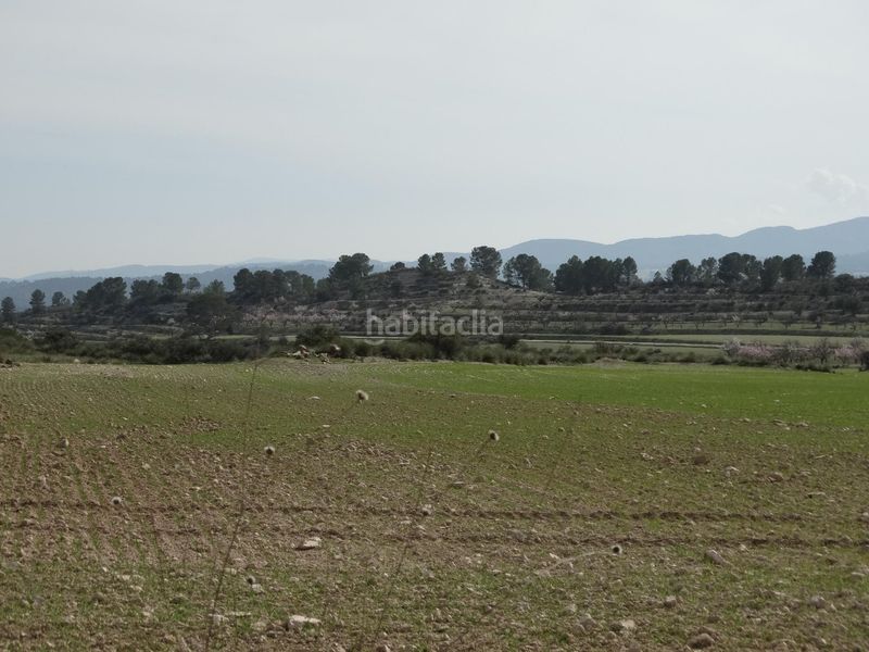 Foto 7dcd787f-34ac-4572-8f1a-012e5e4ce78a. Terreny residencial a Moratalla