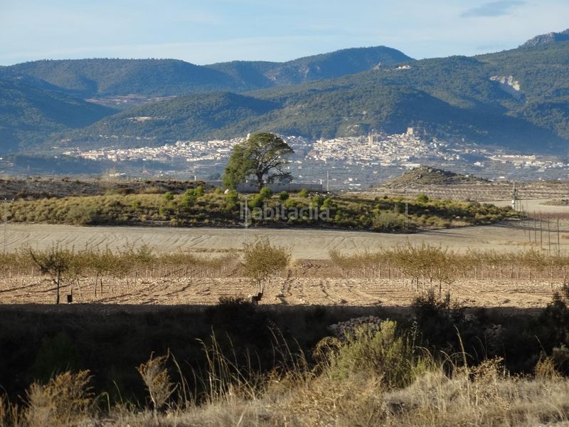 Foto 7f625904-5a2e-4bae-8318-6ba6ad84369b. Terreny residencial a Moratalla