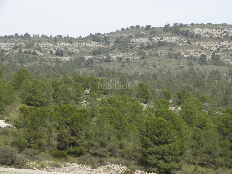 Foto 86e46976-f52b-4ea0-a326-58a382c333a3. Terreny residencial a Moratalla