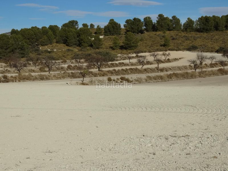 Foto 98c4d4ee-a81f-4316-b8a0-e48188f8148e. Terreny residencial a Moratalla