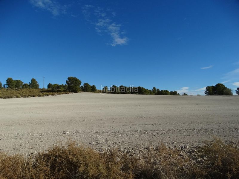 Foto 9b5d7d90-981f-4dd2-90b3-a99379e6f8e9. Terreny residencial a Moratalla