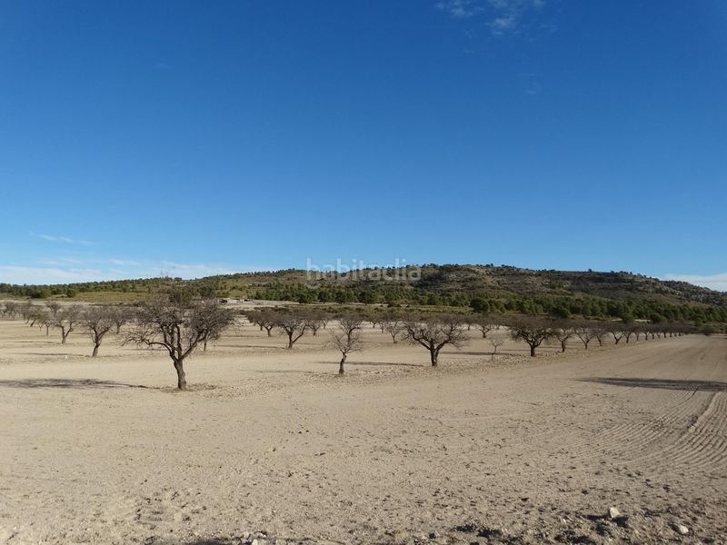 Foto 9cb28630-5962-49e0-b3ba-d43f217c587b. Terreny residencial a Moratalla