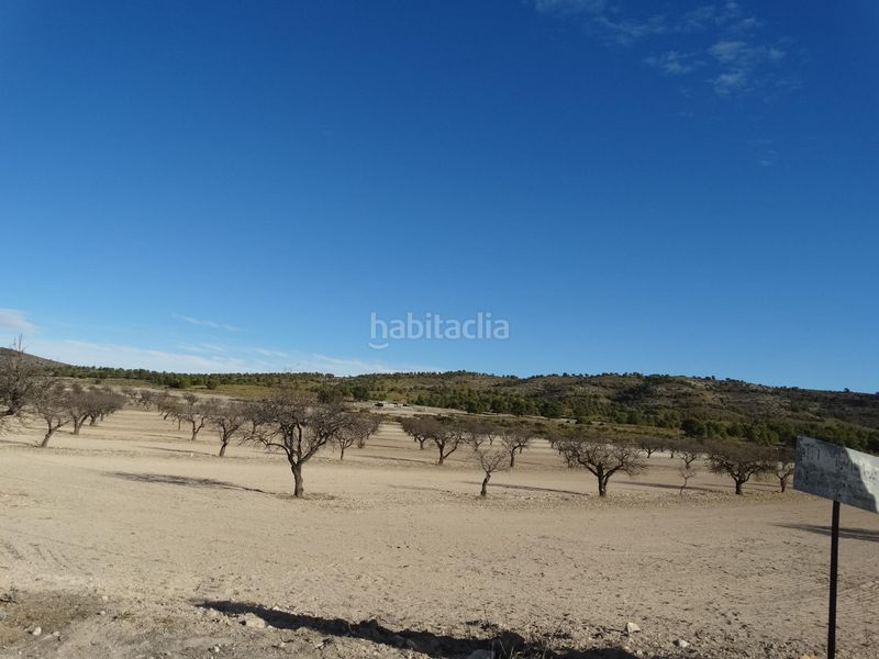 Foto cd123bd3-e6d4-48a5-9ad4-b2ce68d446fa. Terreny residencial a Moratalla