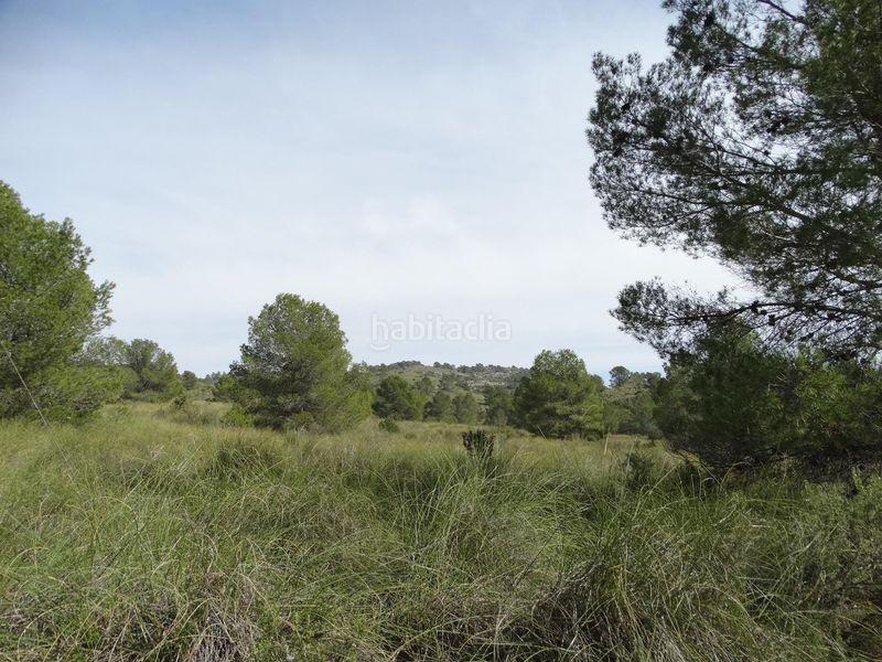 Foto db5ab3f4-67e8-43db-8b7d-e48d7bb3ded5. Terreny residencial a Moratalla