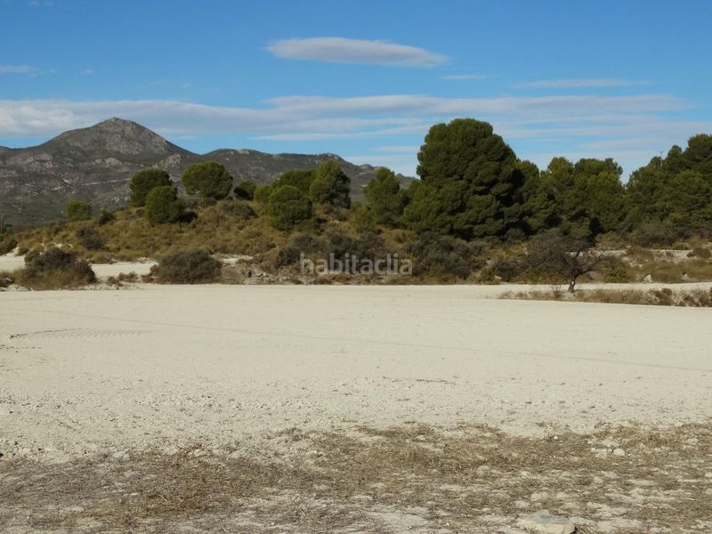 Foto dfeef650-10f0-469d-b2ba-9a5c842005aa. Terreny residencial a Moratalla