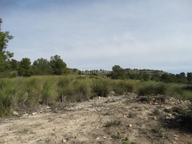 Foto edb2569e-d02f-439d-bb7d-76850cfcf22f. Terreny residencial a Moratalla