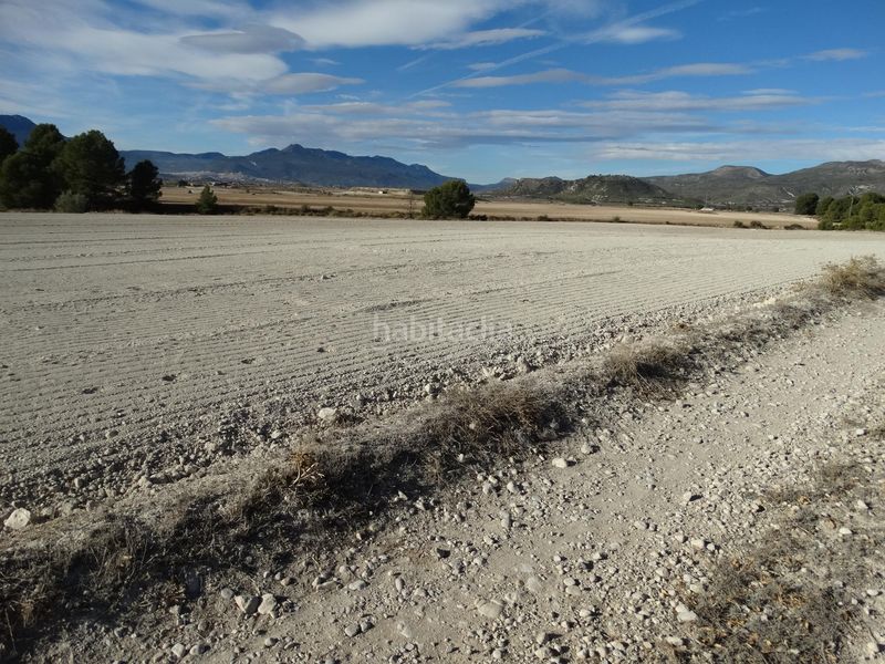 Foto f7214fcb-2dc8-44e3-b6a1-7922a8c852c9. Terreny residencial a Moratalla