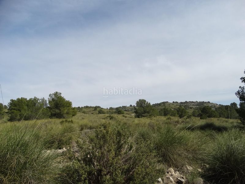 Foto fe679413-1680-4ecd-afc3-0702ad7a9b65. Terreny residencial a Moratalla