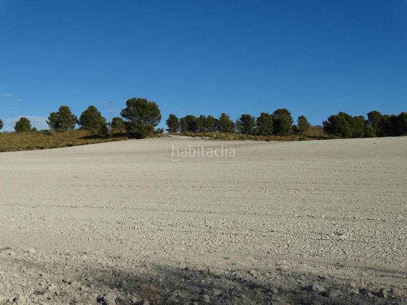 Foto ff316d87-fe29-49a0-b959-c901a9445ff2. Terreny residencial a Moratalla