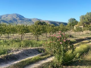 Finca rústica a Moratalla