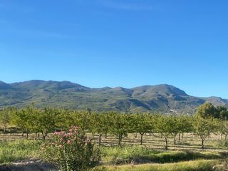 Finca rústica a Moratalla