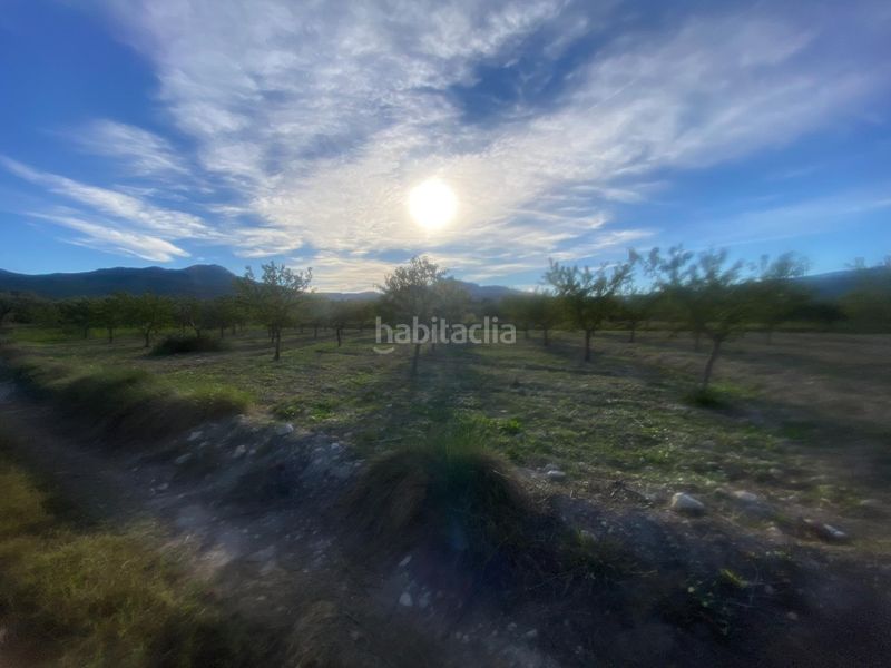 Foto 0db080cb-ad74-4661-8439-f8f7dd5120f9. Finca rústica a Moratalla