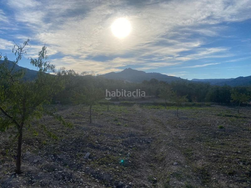Foto 0fa4d329-650c-4dd4-b6c5-8a540ed6fc1d. Finca rústica a Moratalla
