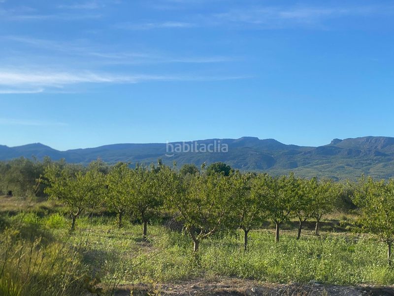 Foto 5e6f30aa-a0e1-44e8-b903-ea78df8bf147. Finca rústica a Moratalla