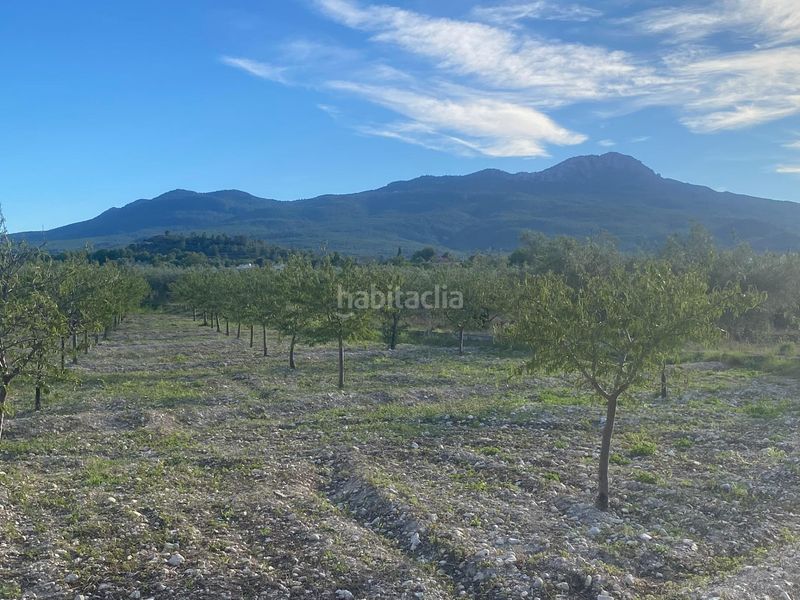 Foto 67615a0e-40ae-4148-bc66-6e1752e2efc5. Finca rústica a Moratalla