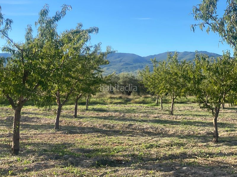 Foto 8b7df97a-3729-472a-86a4-401619a52b32. Finca rústica a Moratalla