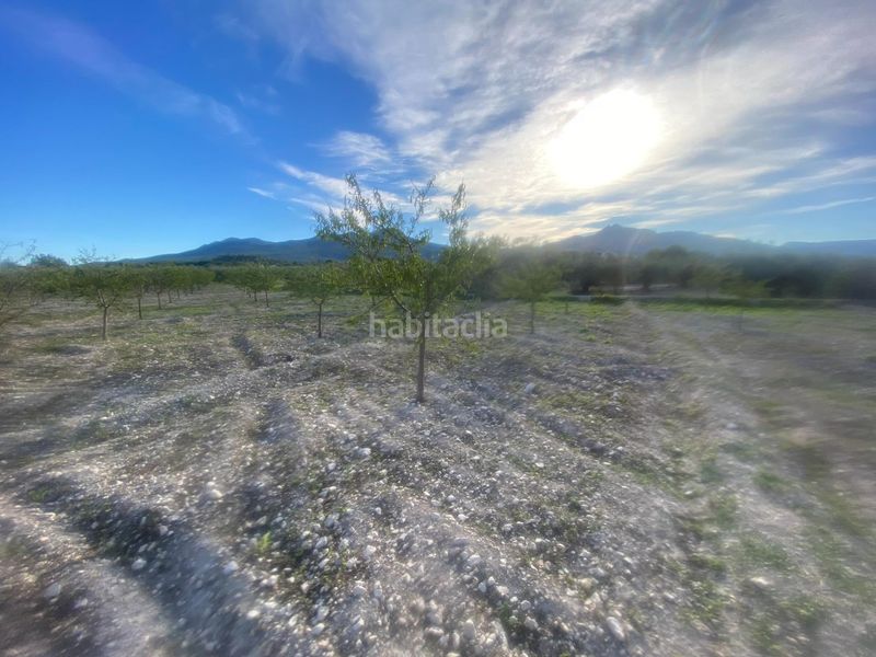 Foto d5cdf4d3-3669-4014-9d0d-b314a7d1fc8a. Finca rústica a Moratalla
