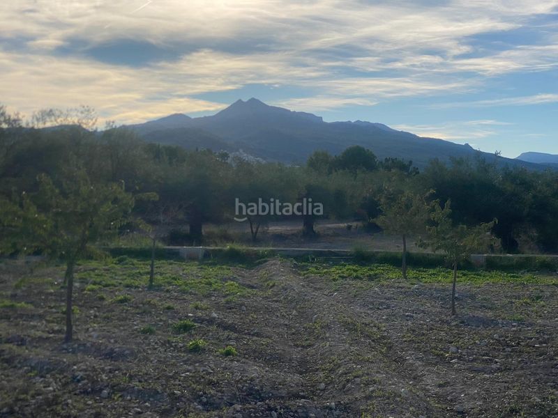Foto e83304e4-ffa4-44ce-802d-54c99b8eadb6. Finca rústica a Moratalla