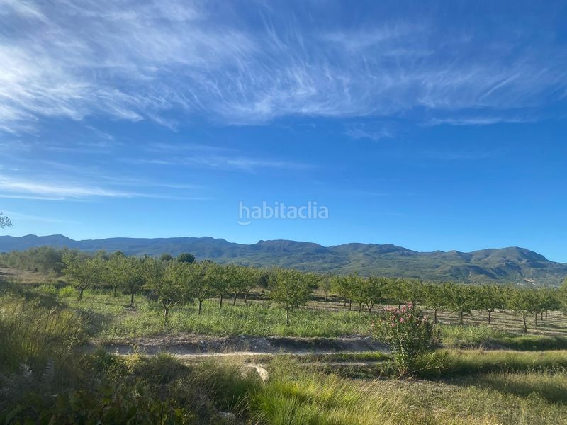 Foto fdb24b9b-5213-48c1-ae05-db54176f153f. Finca rústica a Moratalla