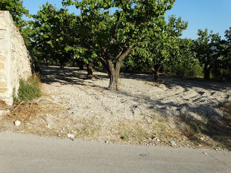 Foto a4ab8e84-7063-4b6c-a3de-34e59821c4bf. Finca rústica a Moratalla