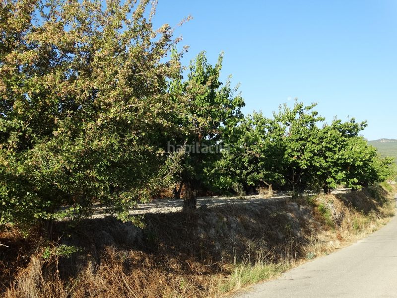Foto bb23142f-5d60-456d-96c5-a5455ae85d40. Finca rústica a Moratalla