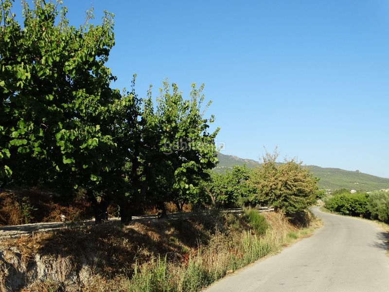 Foto d8be66b6-be51-4ef6-bf10-8ac9aca14076. Finca rústica a Moratalla