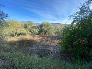 Finca rústica a Moratalla. Un paraíso agrícola con vistas de ensueño tu oportunidad entre o