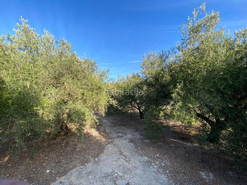 Foto 41b52dc6-d388-44c9-85e8-5a24da3085ad. Finca rústica a Moratalla