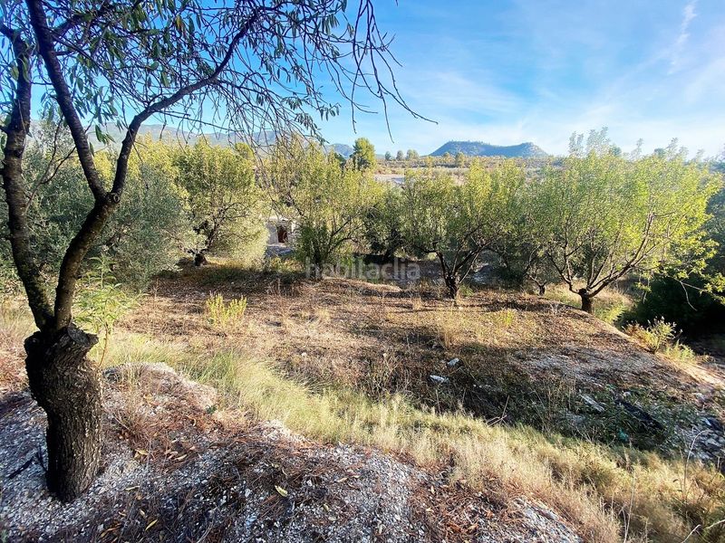 Foto cd6473ee-ddbd-4628-9f60-495702bfdf30. Finca rústica a Moratalla