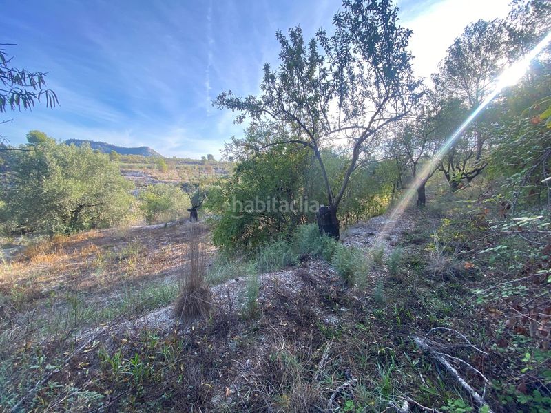 Foto cfcb71ee-7a1b-4c1d-92c8-2bb8667fa7bc. Finca rústica a Moratalla