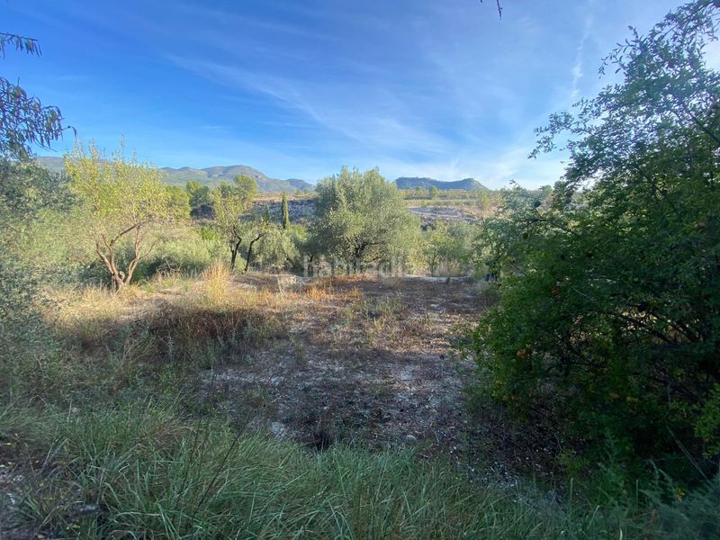 Foto e9f09b05-b8c9-4483-8ab7-358102837b6f. Finca rústica a Moratalla