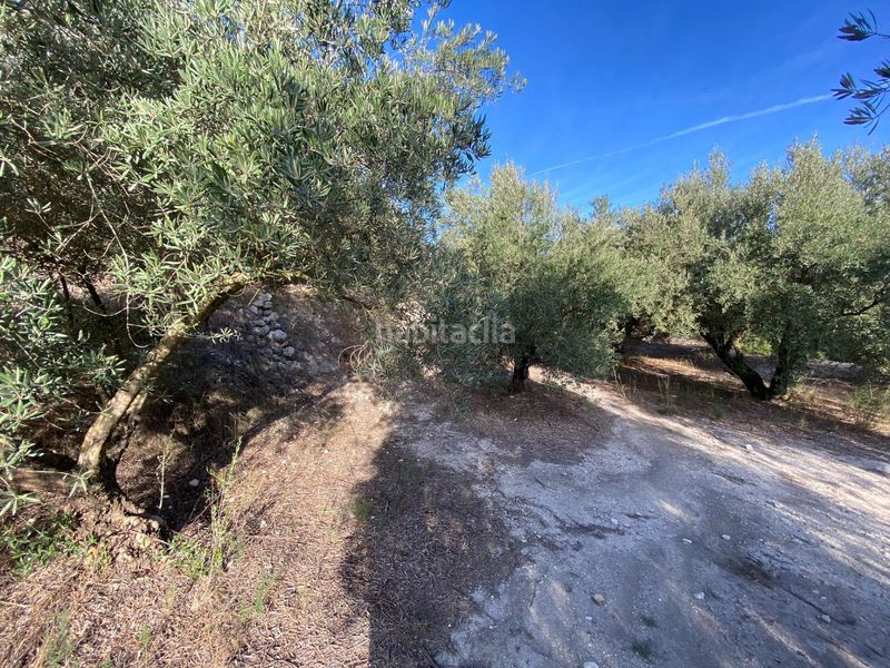 Foto ecd4152f-f841-4285-a350-f3b93b6a126d. Finca rústica a Moratalla