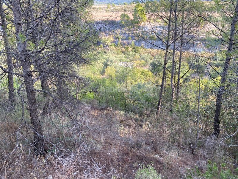 Foto ff1fd8f7-f959-4c2d-8775-0d90a193ec03. Finca rústica a Moratalla