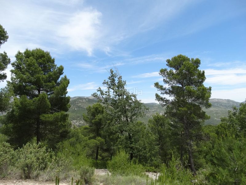 Foto 0c12ea9d-df60-42c8-865d-fb39bae032c7. Finca rústica a Moratalla