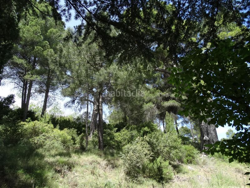 Foto 1a0a4a96-e8ae-470d-bddd-2634e1202594. Finca rústica a Moratalla