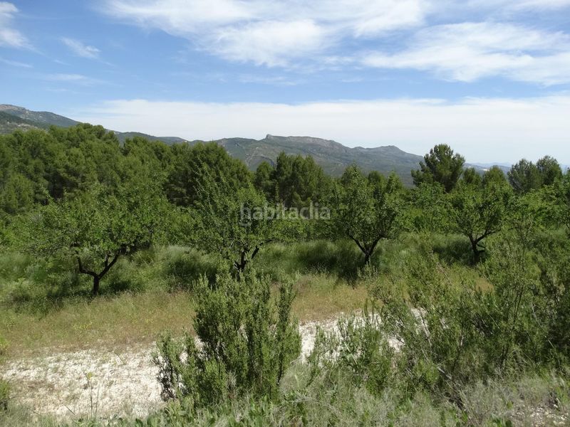 Foto 435b5f4d-9199-46b0-b023-7a921654b250. Finca rústica a Moratalla