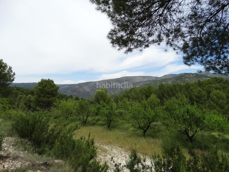 Foto 52e741fc-ac31-4e97-bfd4-fb6234bd15ed. Finca rústica a Moratalla