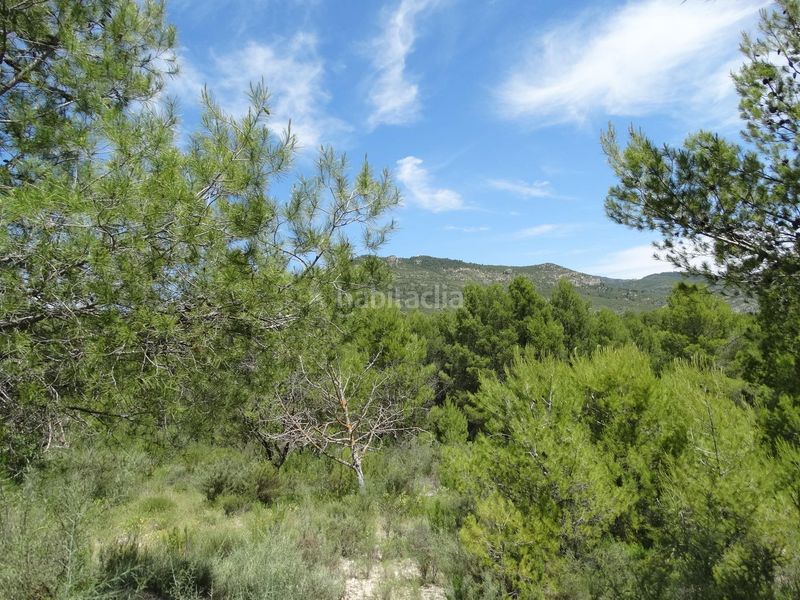Foto 5585f729-ae86-40d3-b07c-40c5fb0637b7. Finca rústica a Moratalla