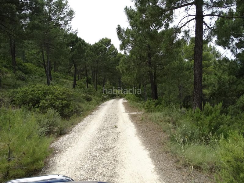 Foto 5732a5d4-5f5f-4858-9d6c-c4e10f9bf269. Finca rústica a Moratalla