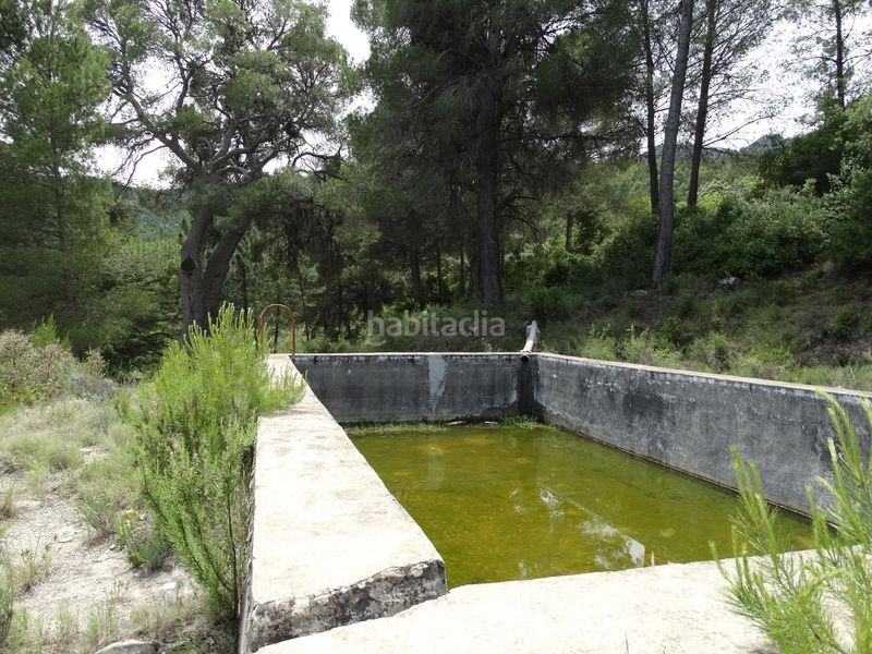 Foto 574ec6e4-6926-4ca7-b120-ecebc6a5d8d9. Finca rústica a Moratalla