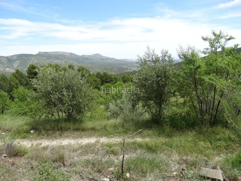 Foto 67119b8b-d43f-408a-bd69-0a15ae63ba54. Finca rústica a Moratalla
