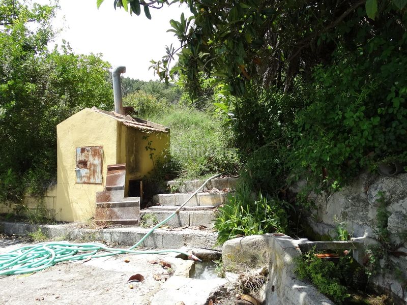 Foto a25bc0a1-31e2-4717-9057-e9e26c86e89a. Finca rústica a Moratalla