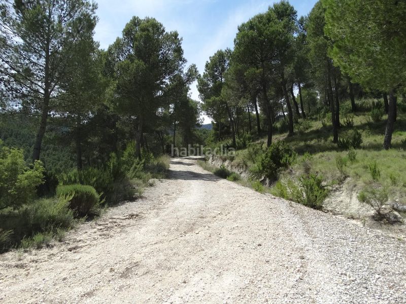 Foto a81d7e15-87c1-4122-874b-b15f25759cdd. Finca rústica a Moratalla