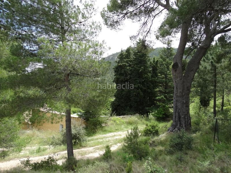 Foto aecf1264-0862-4310-ac33-47a25450639b. Finca rústica a Moratalla