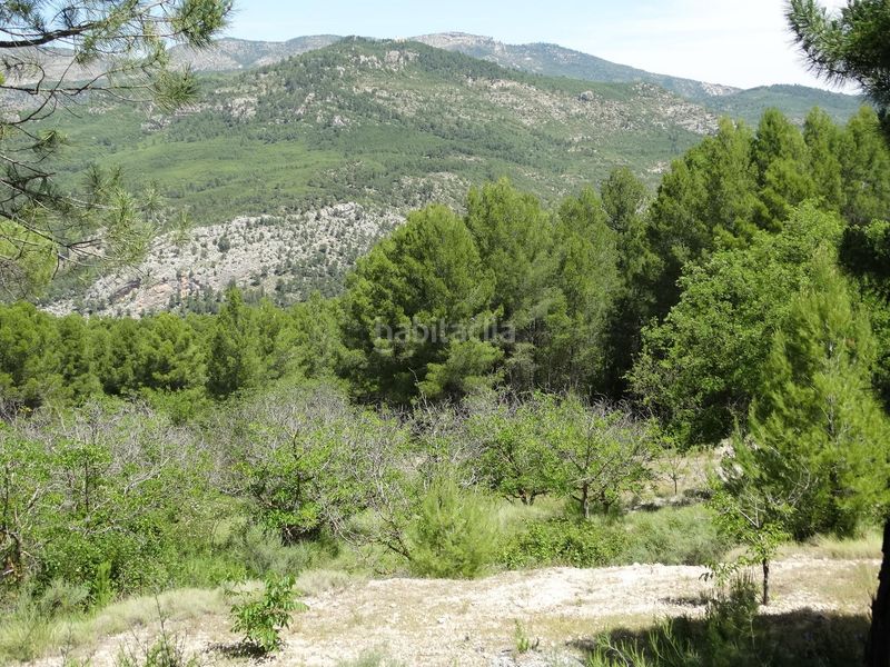Foto aeff1fee-a788-4df4-b8e0-9ce446cc571a. Finca rústica a Moratalla