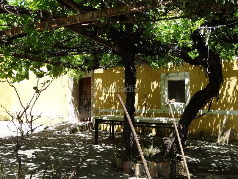 Foto ce44342a-07f2-434f-b40e-e0b05a462824. Finca rústica a Moratalla