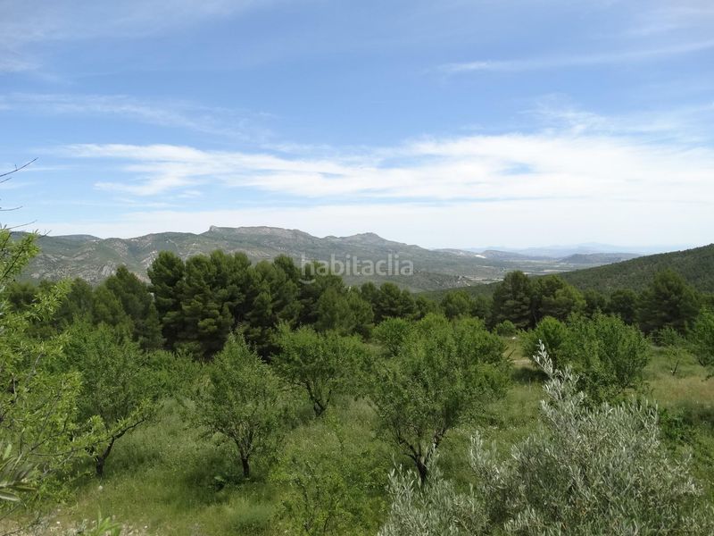 Foto ceb93eb7-8b9b-451d-906f-64a933c93f18. Finca rústica a Moratalla