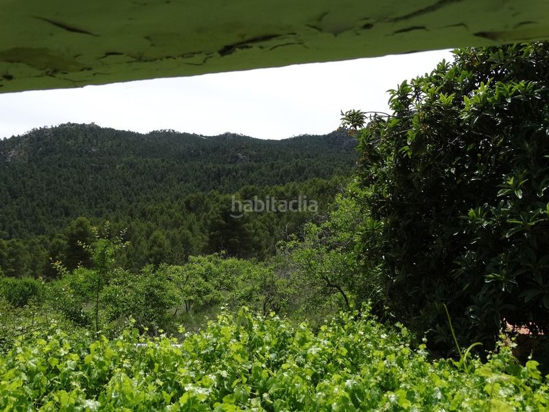 Foto d9d64e13-e361-44bd-baca-e4a7a662454a. Finca rústica a Moratalla