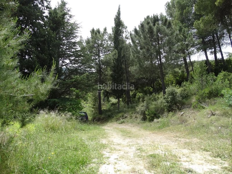 Foto f00232dd-5901-4dfa-88b6-8cc4423ea529. Finca rústica a Moratalla