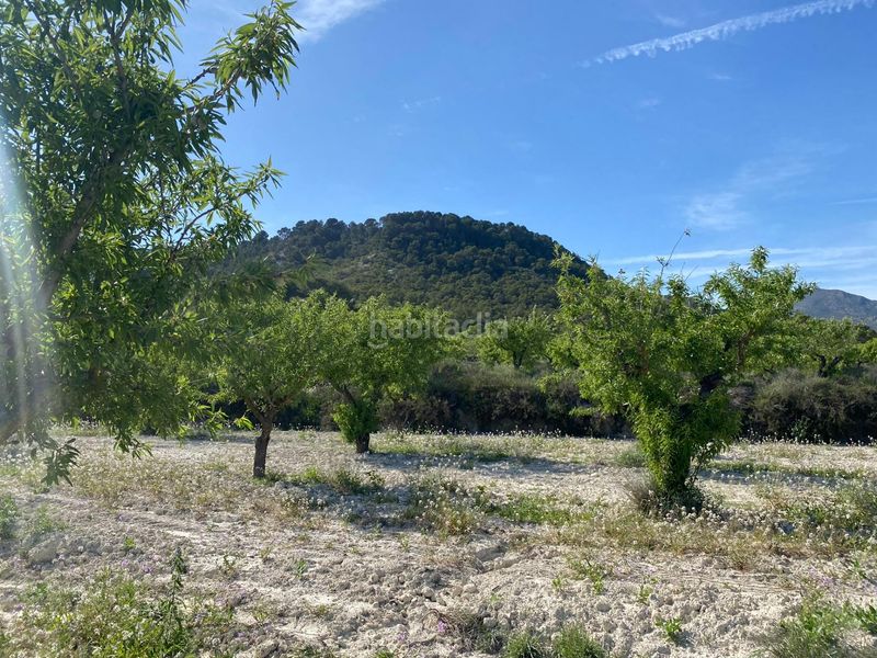 Foto 1a0919c8-3a6d-4a05-8913-c05aa0f0cb80. Finca rústica a Moratalla